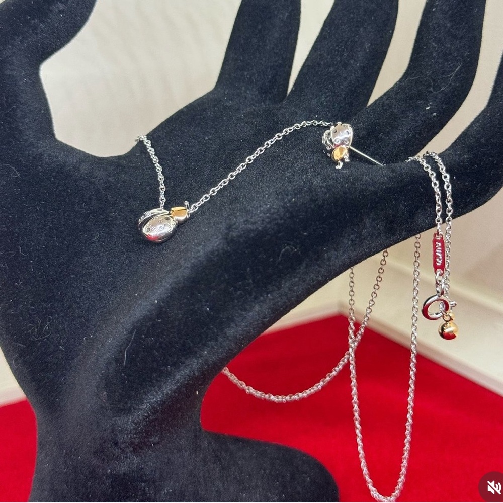 NWOT Lady Bug Necklace & Earrings